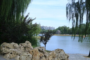 公园风景  