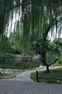 公园风景 