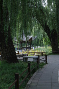 公园风景  