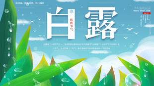 白露节气宣传海报展板