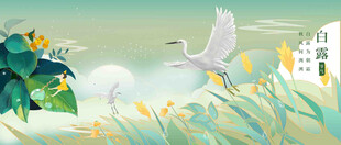 白露节气宣传海报展板