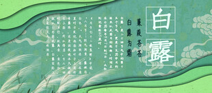 白露节气宣传海报展板