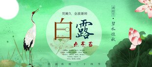 白露节气宣传海报展板