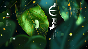 白露节气宣传海报展板