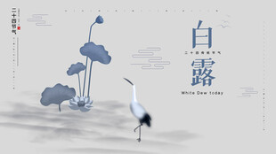 白露节气宣传海报展板