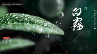 白露节气宣传海报展板