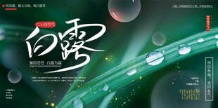 白露节气宣传海报展板