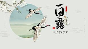 白露节气宣传海报展板