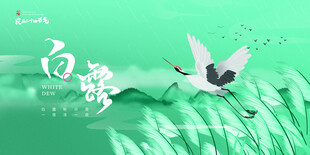 白露节气宣传海报展板