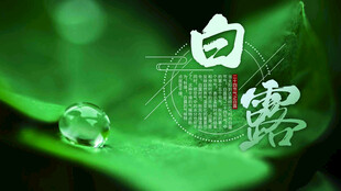 新中式白露 白露海报 白露广告