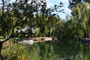 公园风景  