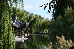 公园风景 