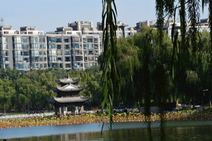 公园风景 