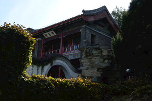 公园风景 