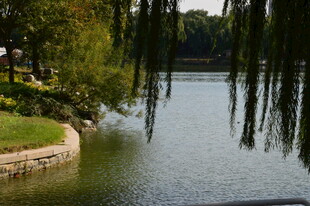 公园风景  