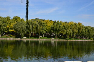 公园风景  