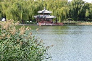 公园风景  