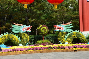 公园风景  