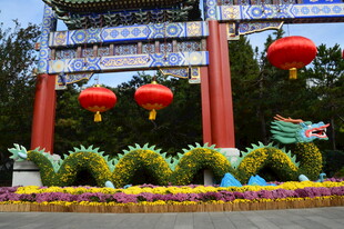 公园风景  