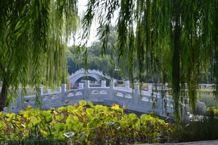 公园风景 