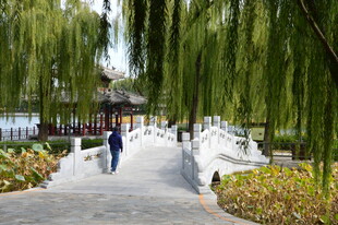 公园风景  