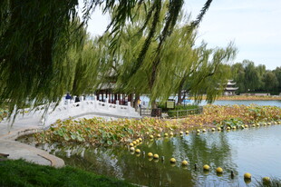公园风景  