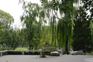 公园风景  
