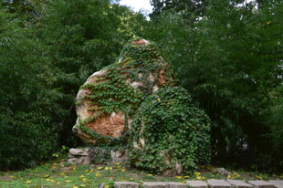 公园风景