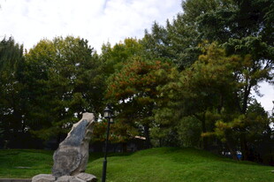 公园风景  