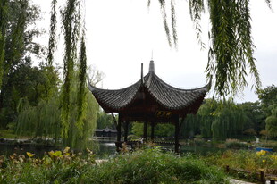 公园风景 