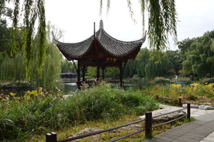 公园风景  