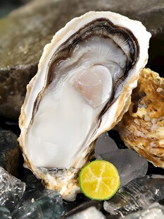 生蚝