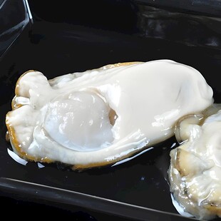 生蚝