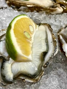 生蚝
