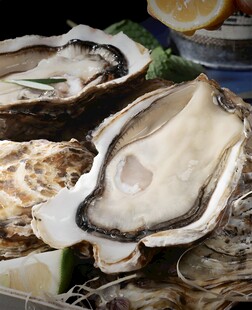 生蚝