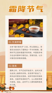 中国传统节气霜降海报