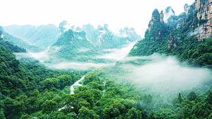 张家界武陵源