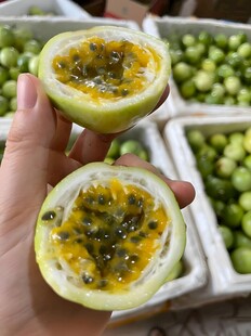 百香果