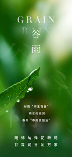 谷雨节气宣传海报展板