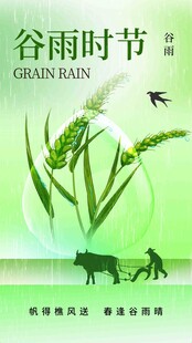 谷雨节气宣传海报展板
