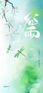 谷雨节气宣传海报展板
