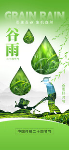 谷雨节气宣传海报展板