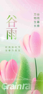 谷雨节气宣传海报展板