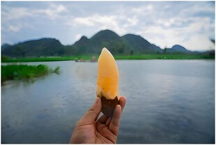雪莲果
