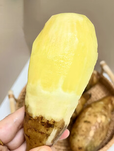 雪莲果