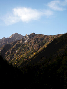 高山