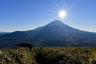 富士山