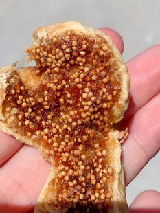 无花果干