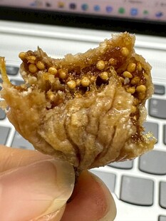 无花果干