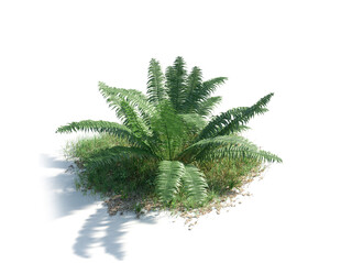 C4D模型 绿色植物